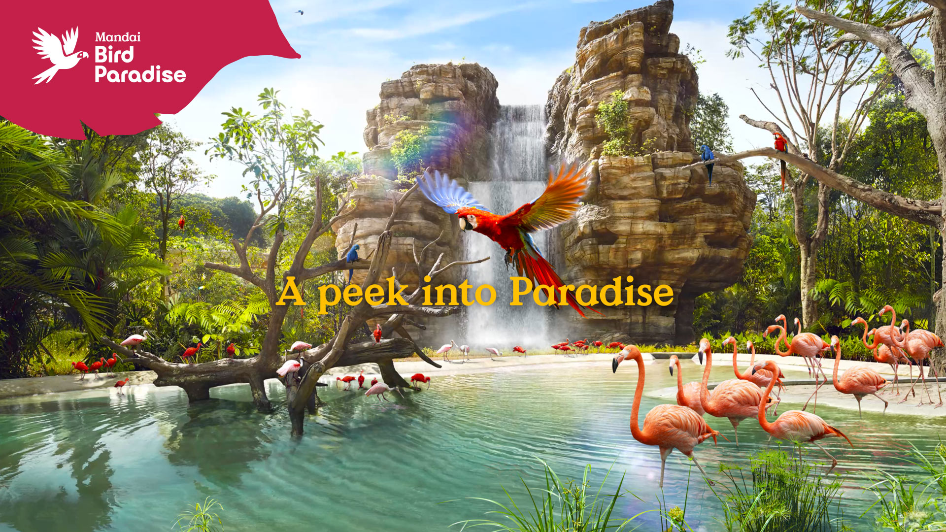 Bird Paradise Hero Banner