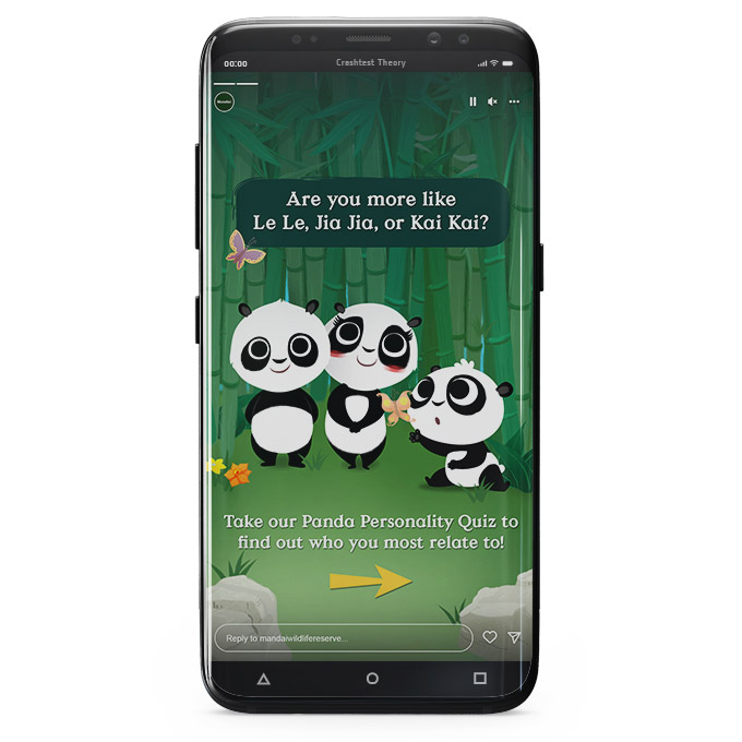 panda_quiz_01