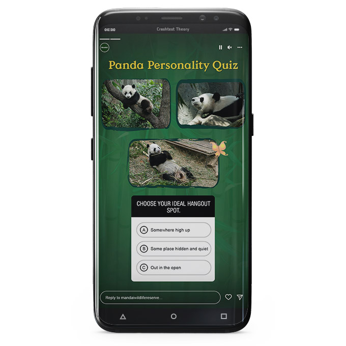 panda_quiz_03