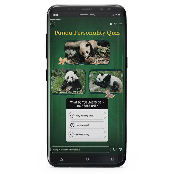 panda_quiz_04