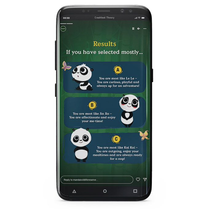 panda_quiz_05