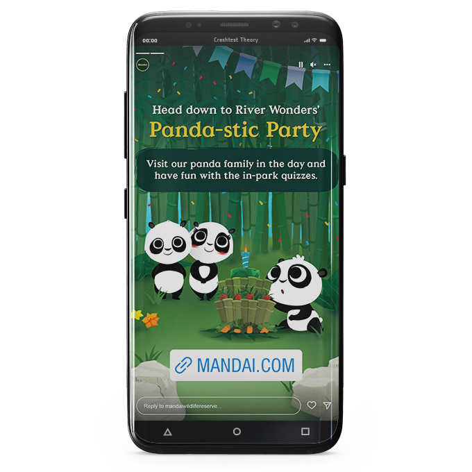 panda_quiz_08